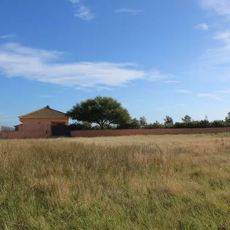 Fior D'oleandro